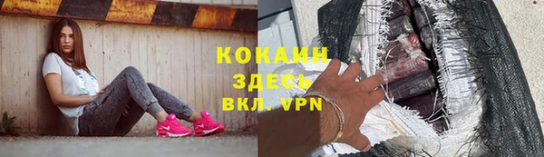 крисы Белокуриха
