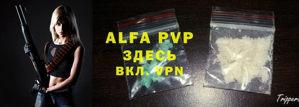 крисы Белокуриха