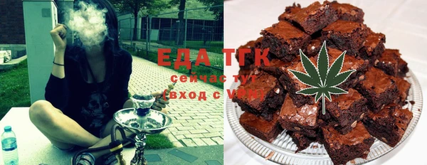 шишки Инта